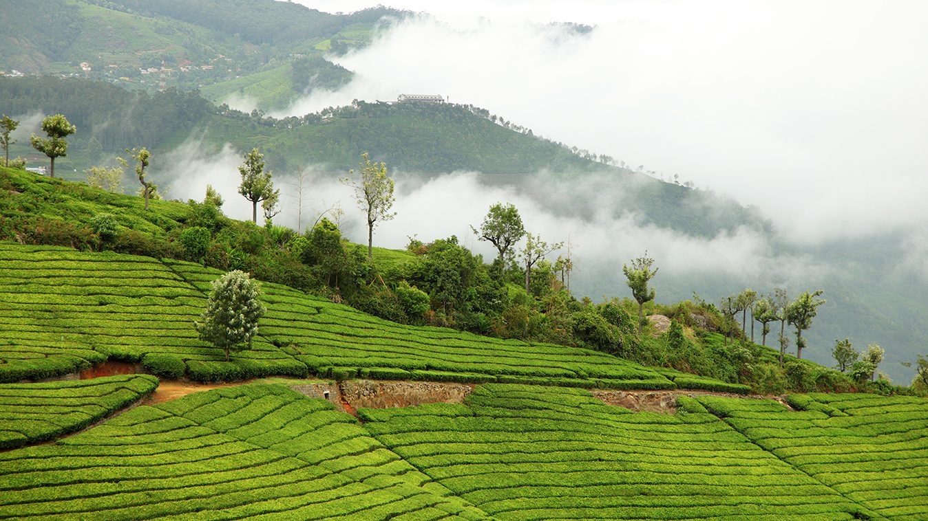 Ooty & Coonoor Weekend